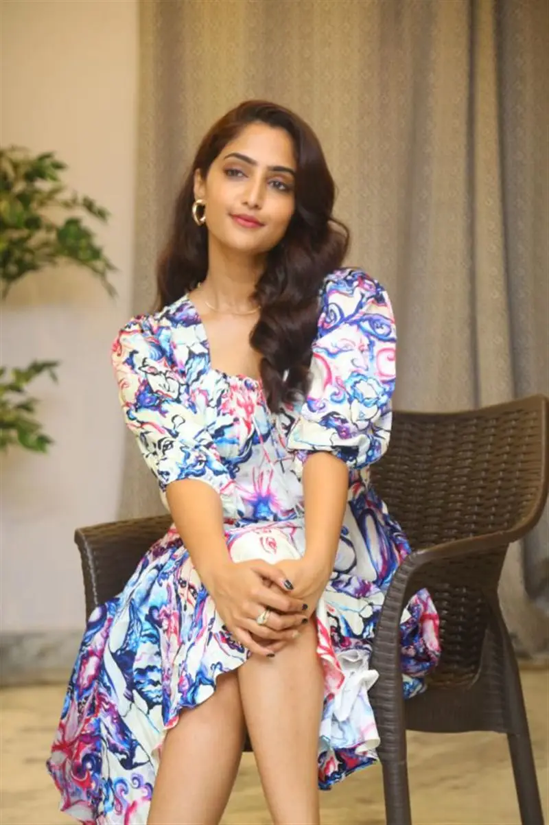 Telugu Actress Reba Monica John at Samajavaragamana Movie Interview